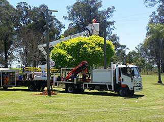 Power Pole Replacement