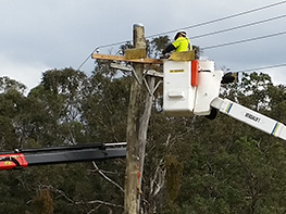 Sydney Power Poles at Work